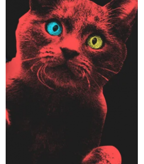 Marškinėliai su katinu