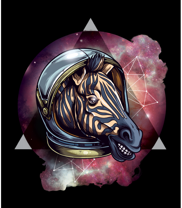 Marškinėliai "Kosminis zebras"