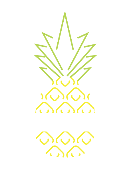 Ananasas.LT